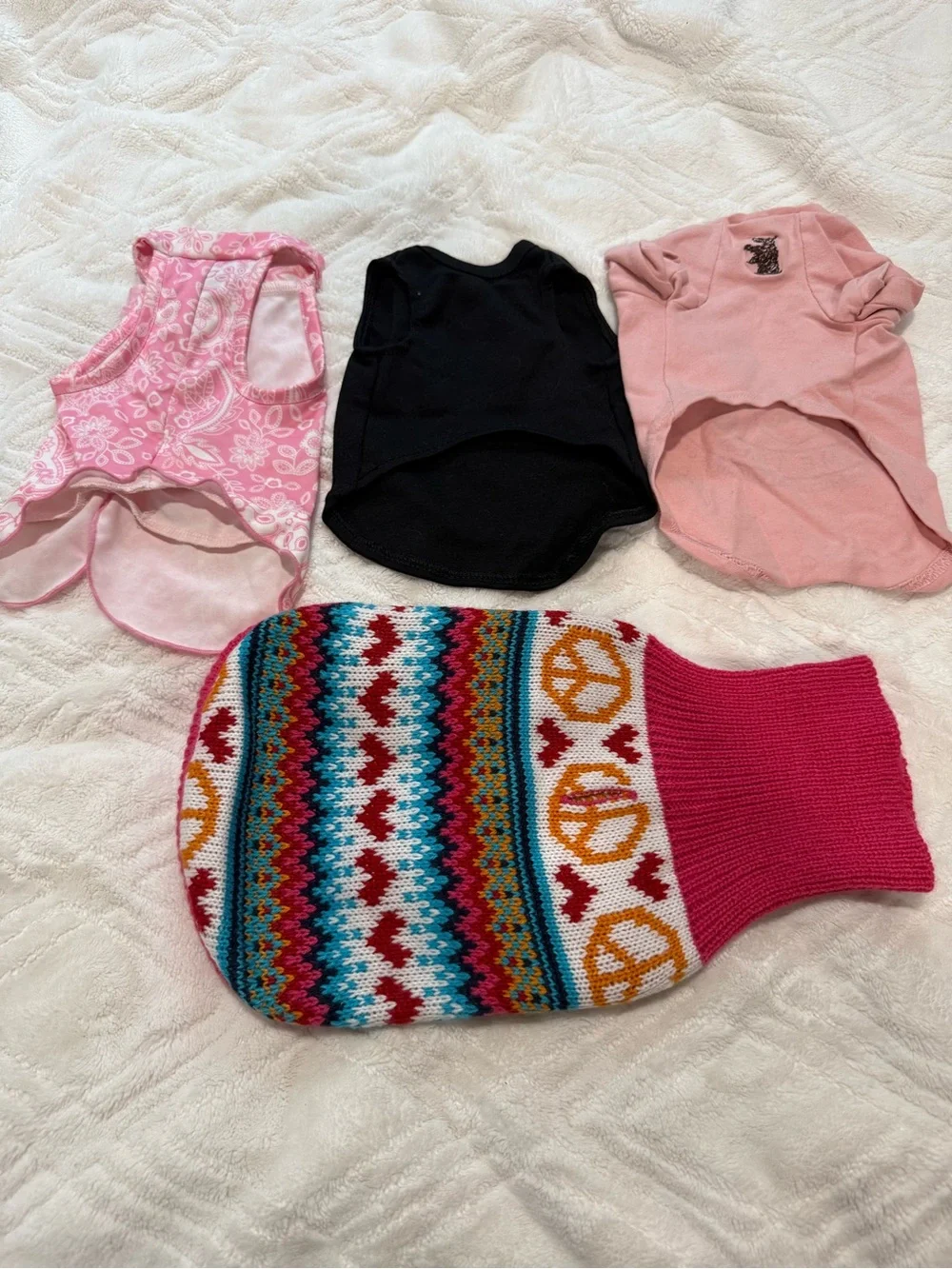 Pet outfits and leash
